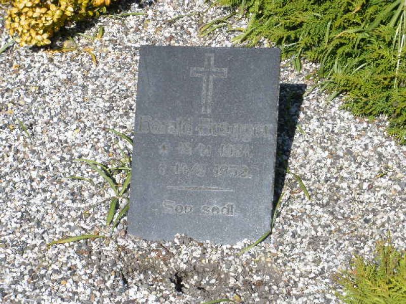 Harald Broegger.JPG